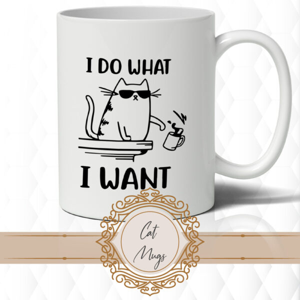 What I Want Mug